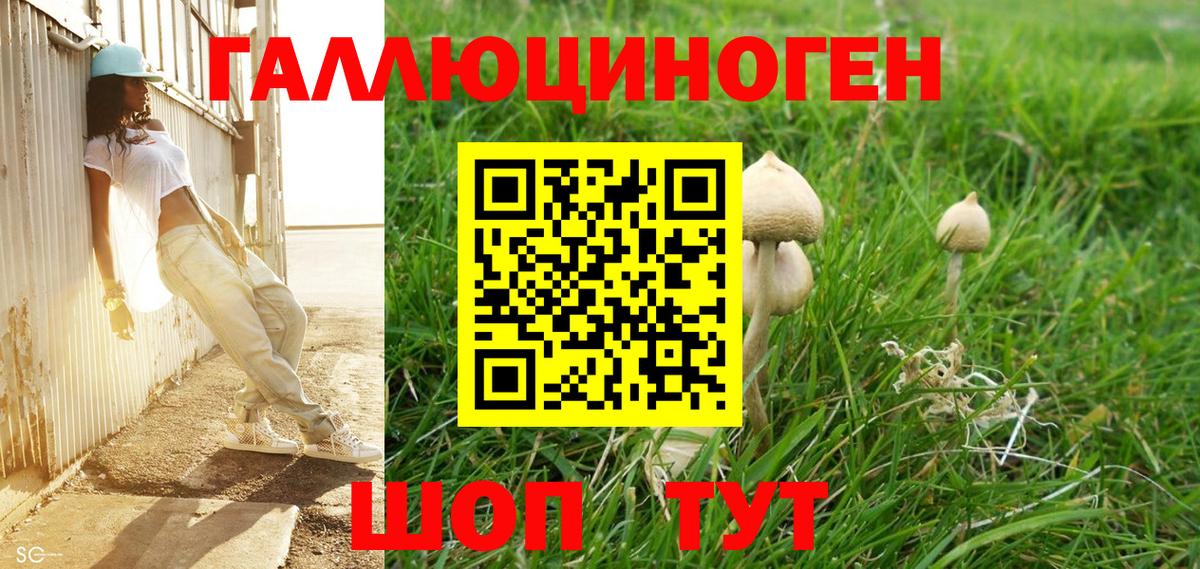 Галлюциногенные грибы GOLDEN TEACHER  как найти закладки  Галлюциногенные грибы ЛСД  Ступино  Вход с VPN 